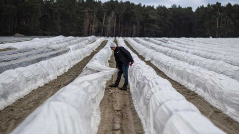 PROYECTO EUROPEO ECHA EN FALTA MEDIOS EN LA PAC PARA EL RELEVO GENERACIONAL