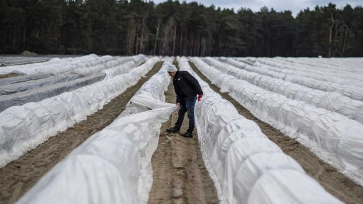 PROYECTO EUROPEO ECHA EN FALTA MEDIOS EN LA PAC PARA EL RELEVO GENERACIONAL