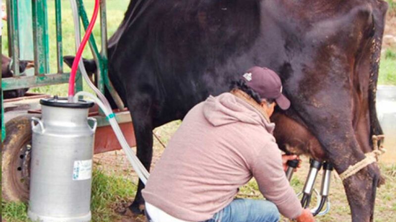 VENEZUELA: PRODUCTORES AFECTADOS POR IMPOSICIÓN DE PRECIOS DE LECHE