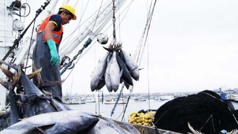 108.000 familias dependen de la actividad pesquera en Ecuador