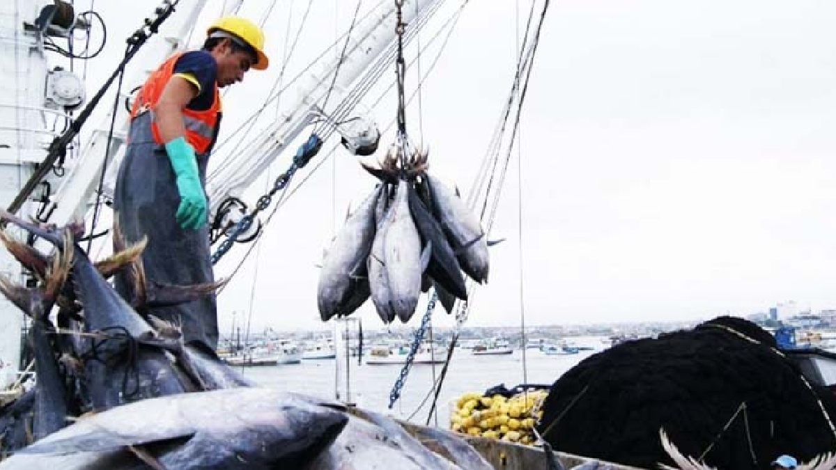 108.000 familias dependen de la actividad pesquera en Ecuador