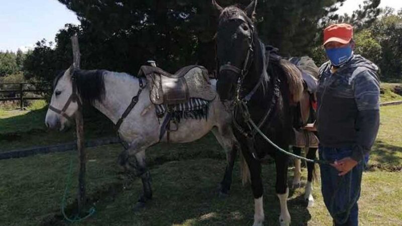 A FALTA DE TURISTAS, LOS GUÍAS SE DEDICAN AL AGRO Y VENTAS
