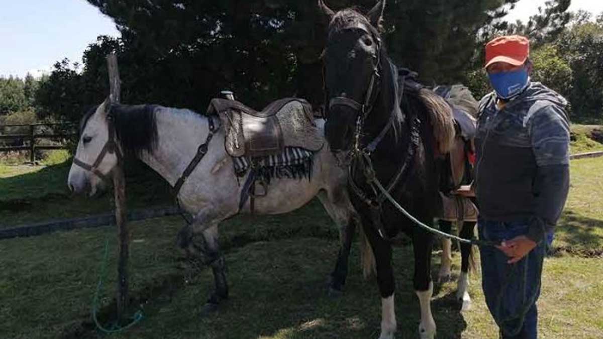 A FALTA DE TURISTAS, LOS GUÍAS SE DEDICAN AL AGRO Y VENTAS