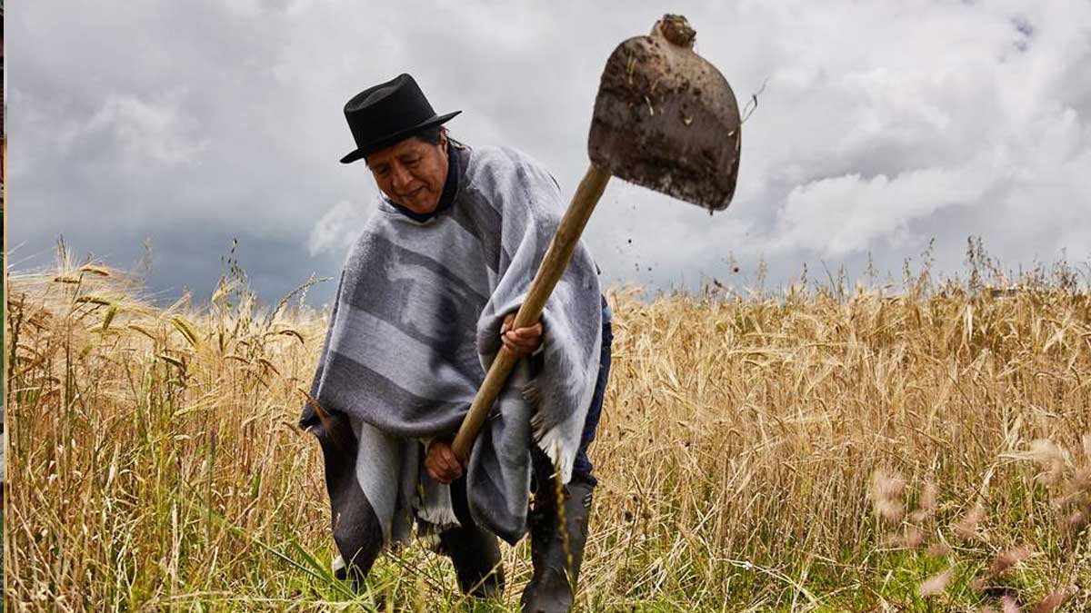 AGRICULTORES NACIONALES BENEFICIADOS CON AUMENTO DE PRODUCCIÓN DE NUEVA CERVEZA