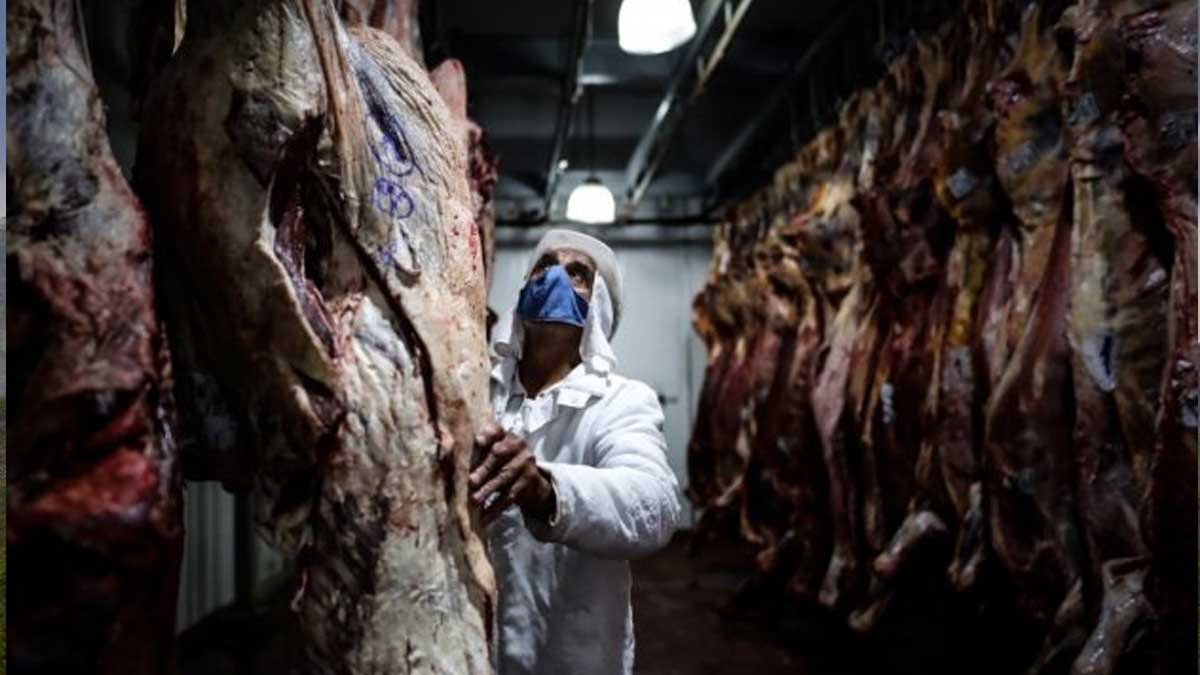 ARGENTINA INHABILITA LA OPERACIÓN DE DOCE EMPRESAS EXPORTADORAS DE CARNE