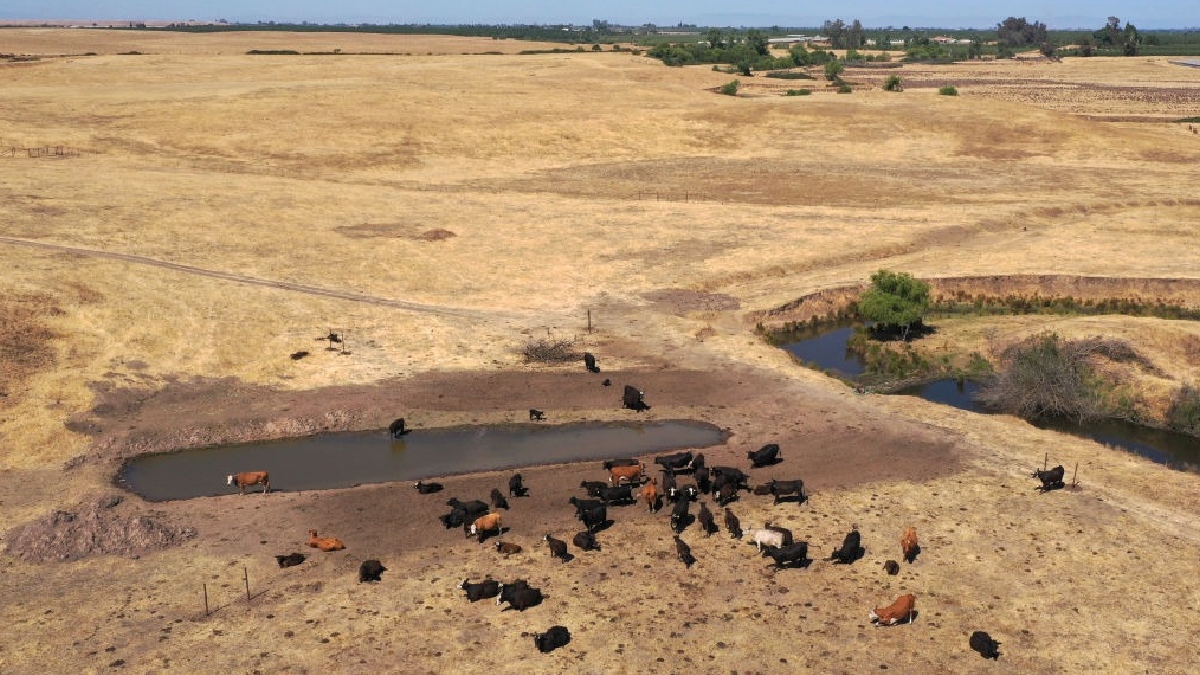 Agricultores de California enfrentan una grave escasez de agua