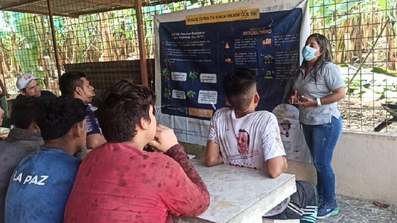 Con microorganismos se mejorará el suelo de plantaciones bananeras, para mitigar la proliferación de Fusarium