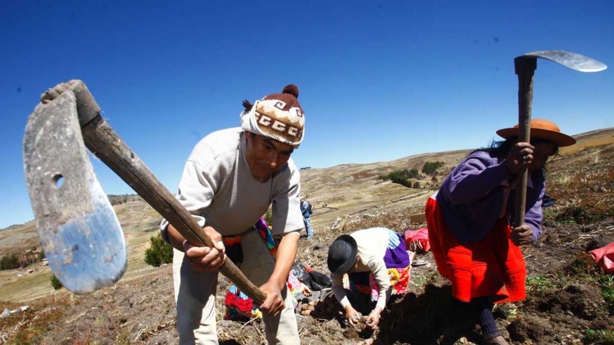 Día del Campesino es fecha propicia para mensaje esperanzador