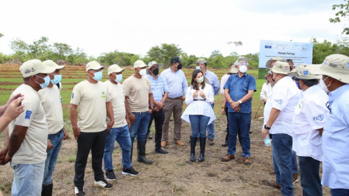 El IICA, la UE y Panamá inauguran escuela de cultivo de arroz en una cárcel
