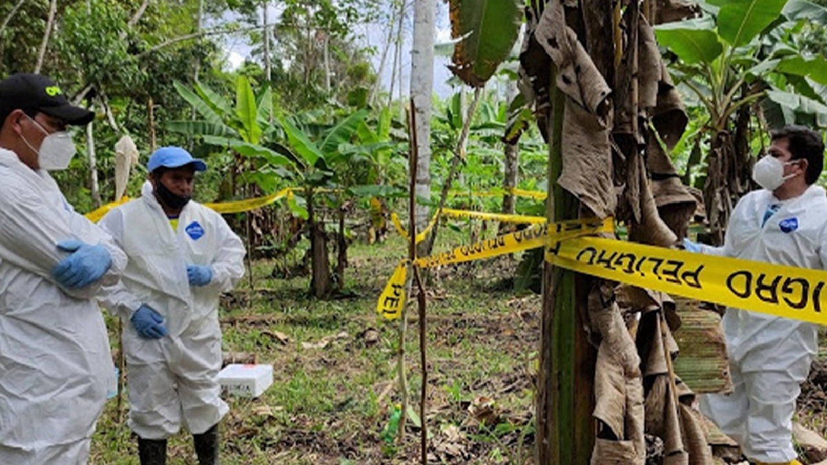 En Arajuno se realiza control de plaga en plantaciones de plátano