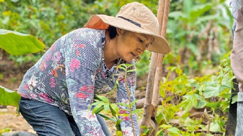 Esmeraldas Protege las cuencas hídricas