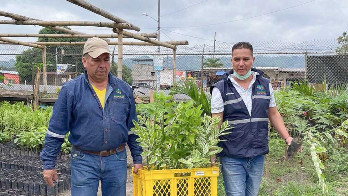 Prefectura trabaja en la reforestación de las riberas de los ríos