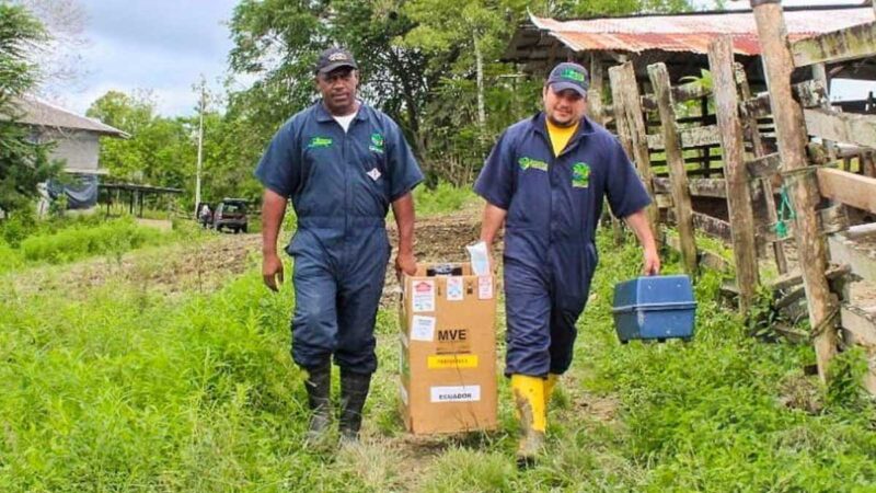 Se trabaja incansablemente por el desarrollo de los hermanos campesinos.