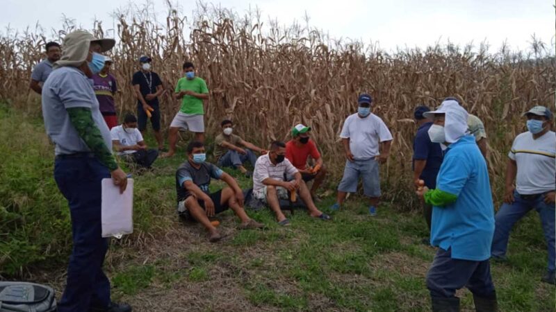 La Comunidad organiza un curso sobre agricultura ecológica para incentivar la ampliación de estos cultivos