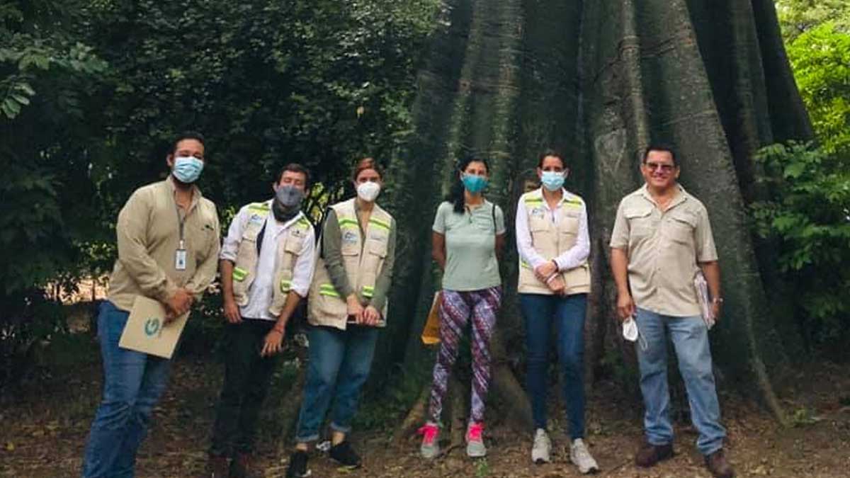 Bosque seco de Samanes 1 sería convertido en nueva área protegida