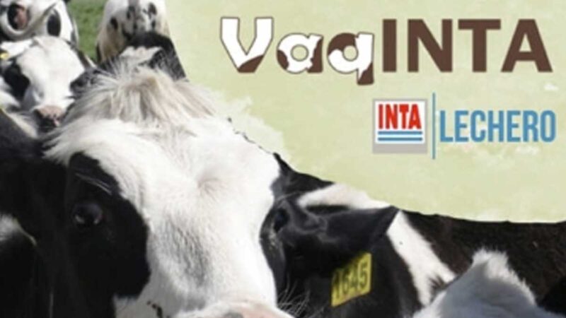 HERRAMIENTA INFORMÁTICA DISEÑADA EN ARGENTINA FACILITA ANÁLISIS DE SISTEMAS PRODUCTIVOS