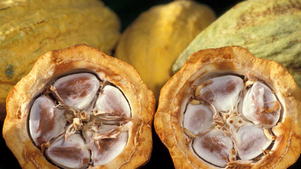 INIAP genera alianzas estratégicas para el sector agropecuario nacional