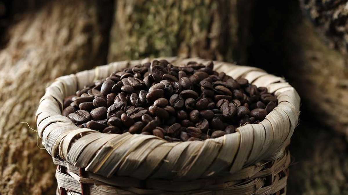 Las exportaciones de café de Colombia caen un 52 % en mayo por bloqueos viales