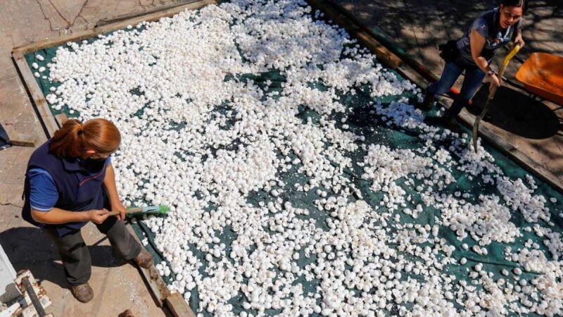 Limpian uno de los ríos más contaminados de México con cascarones de huevo