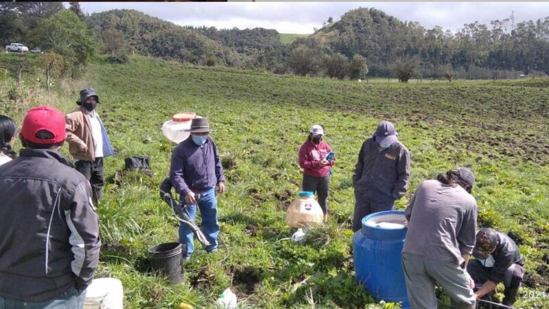 Más apoyo para productores agrícolas