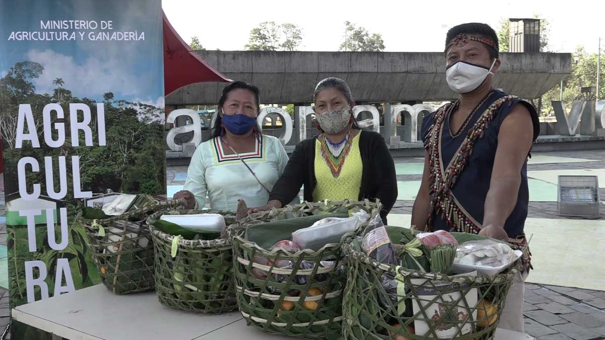 Más de 11.000 productores de la Amazonía ecuatoriana beneficiados con la reconversión agroproductiva sostenible