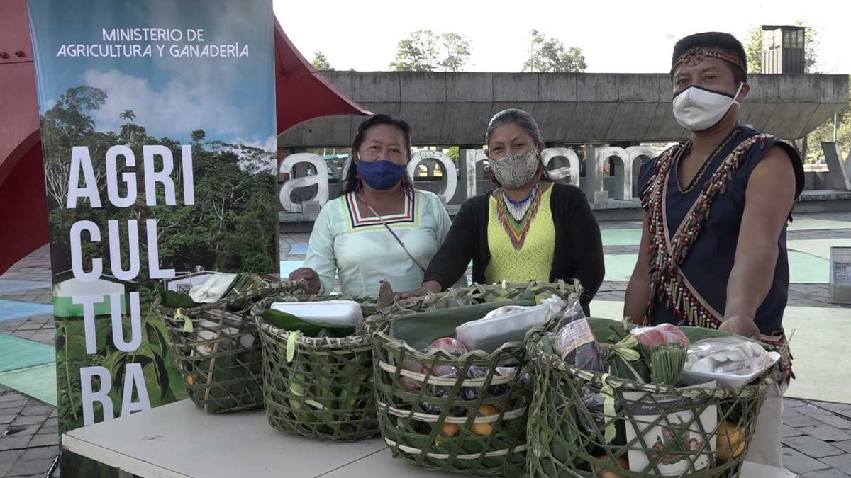 Más de 11.000 productores de la Amazonía ecuatoriana son beneficiados con la reconversión agroproductiva sostenible