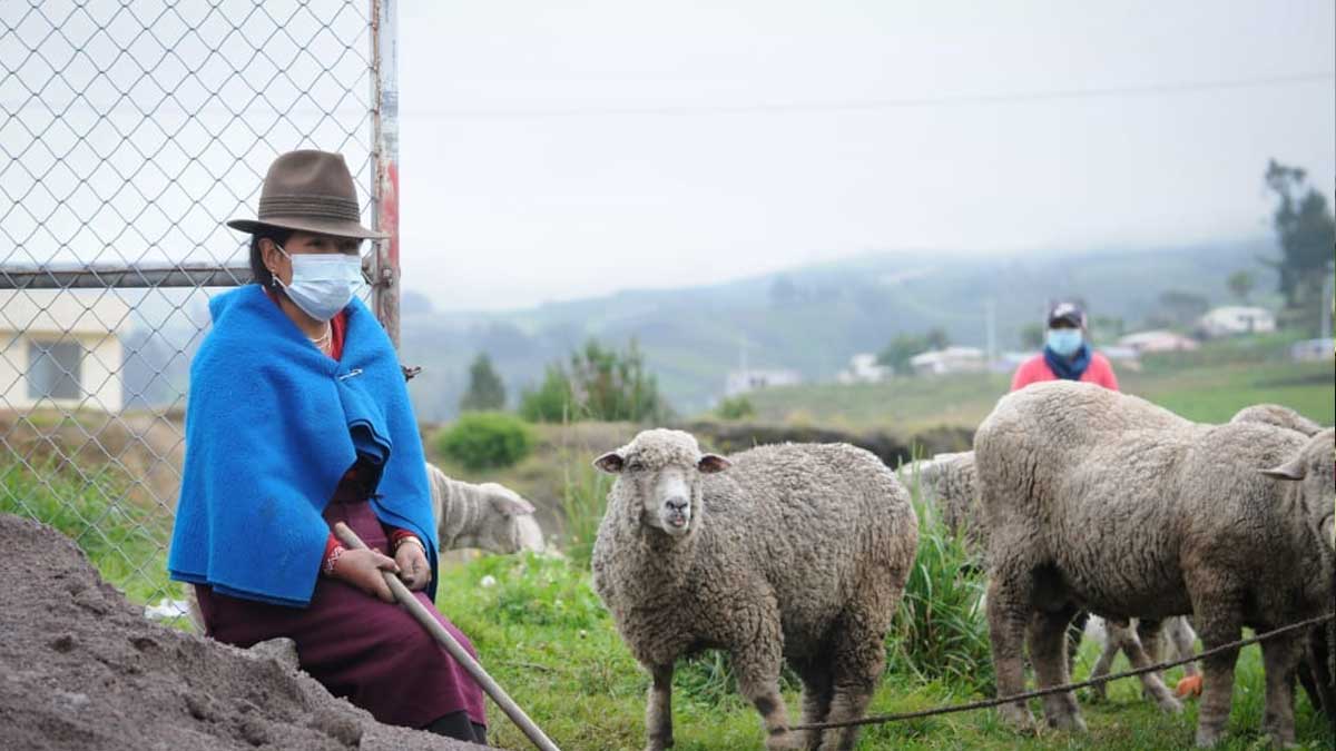 PRFECTURA DE CHIMBORAZO APOYA AL GREMIO GANADERO Y A LIDERES COMUNITARIOS