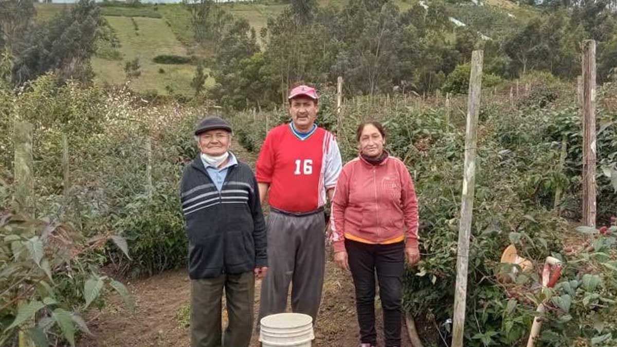 PRODUCTORES DE MORA SE BENEFICIAN EN TUNGURAHUA CON ANALISIS DE SUELOS
