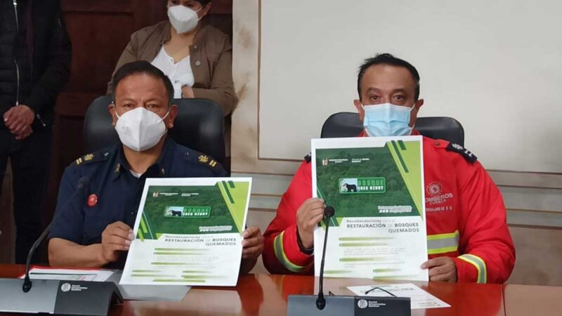 Prefectura lanza campaña “Bosque eres Azuay”