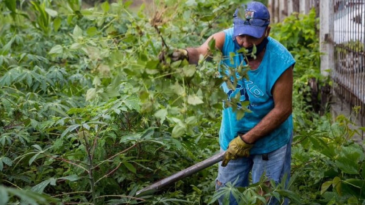 Productores agropecuarios de Venezuela piden plan de vacunación para el campo