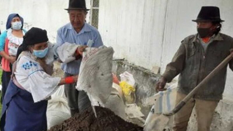 Productores de uvilla reciben plantas para implementar sistemas agroforestales