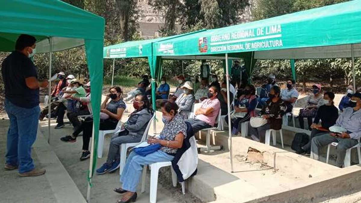 Productores son capacitados en transferencias e innovaciones tecnológicas de cultivos