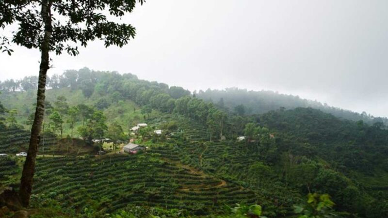 Syngenta impulsa biodiversidad ante la desertificación y la sequía