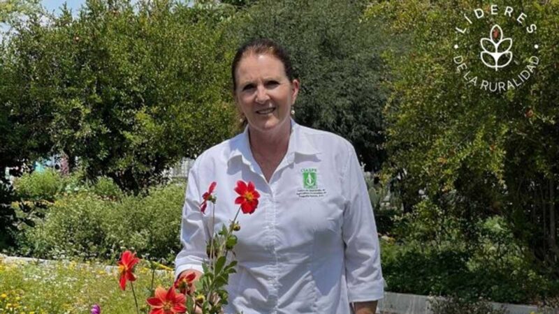 Una agrónoma mexicana es premiada por apoyar a la población rural vulnerable