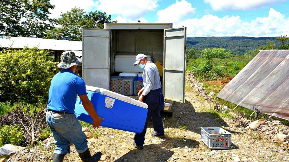 “La Ilusión” genera excedentes en su producción con apoyo técnico de AGROPZACHIN