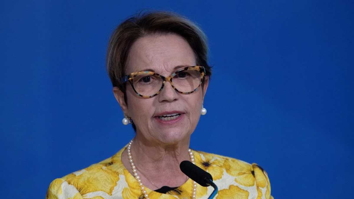 América presenta a la FAO su posición unida sobre el futuro de la agricultura