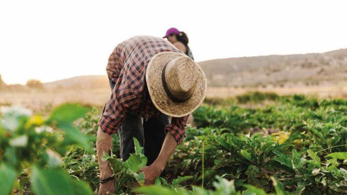 Argentina participará de un proyecto conjunto para asistir el desarrollo del Caribe