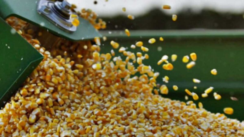 Brasil elevará en un 27 % su producción de granos en una década