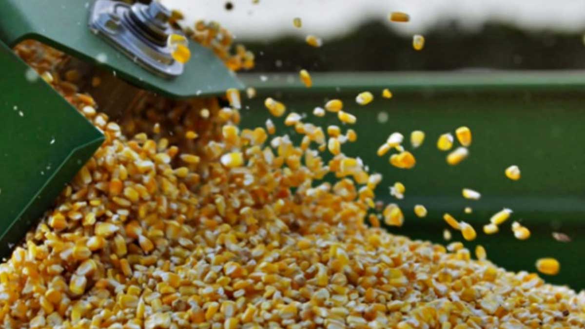 Brasil elevará en un 27 % su producción de granos en una década