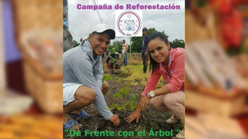 Campaña de reforestación “De Frente con el  Árbol”