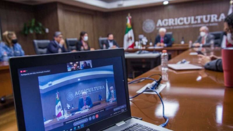 Designan a México sede del 43 Congreso Mundial de la Viña y el Vino 2022