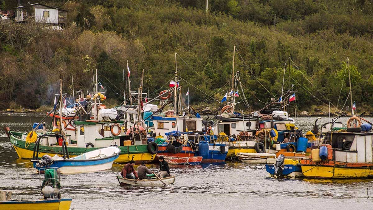 Disponen más de $1.800 millones para apoyar reactivación del sector pesquero artesanal