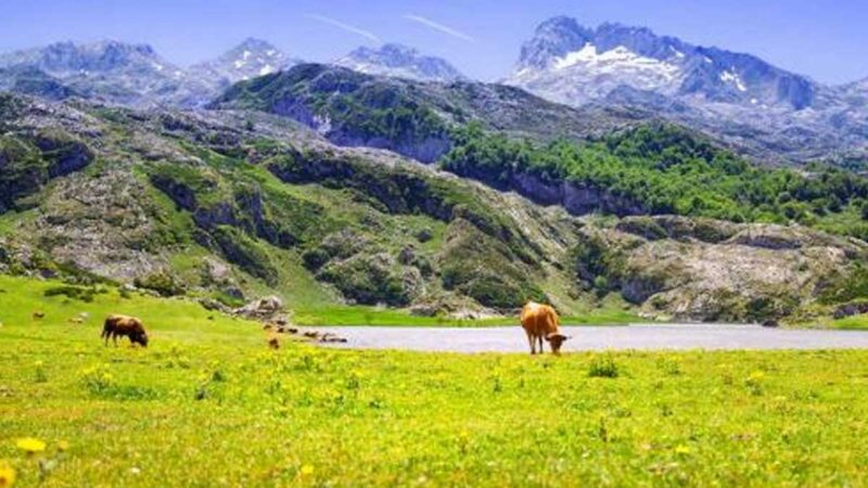 El Parlamento Europeo crea un fondo para apoyar la pesca sostenible