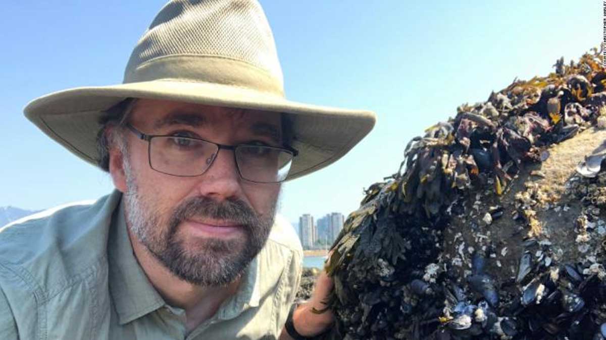 El calor extremo cocinó vivos a los mejillones, almejas y otros mariscos en las playas de Canadá