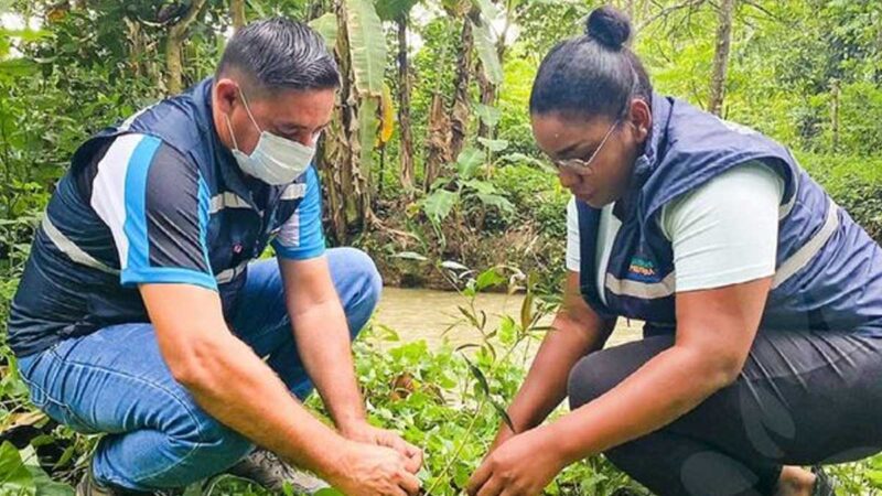 Está comprometida con el cuidado del ecosistema