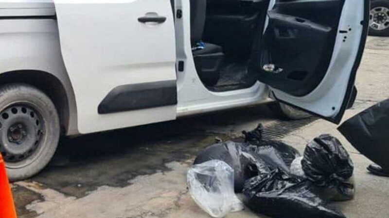 Guardia Nacional detiene a 2 sujetos con 318 kilos de pulpo en Mérida
