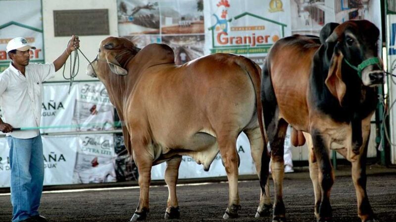 Hoy arranca Expica 2021