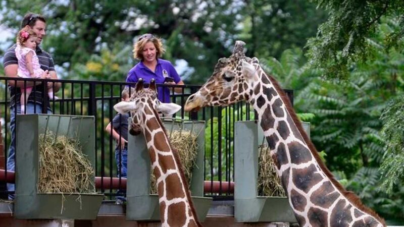 El zoológico de Denver vacunará contra covid-19 a sus animales