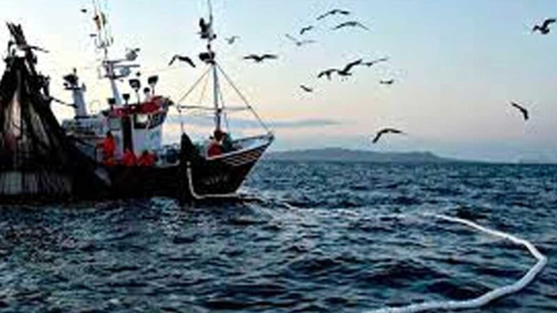 Industriales pesqueros acusan “negacionismo técnico” en discusión legislativa sobre recursos del mar