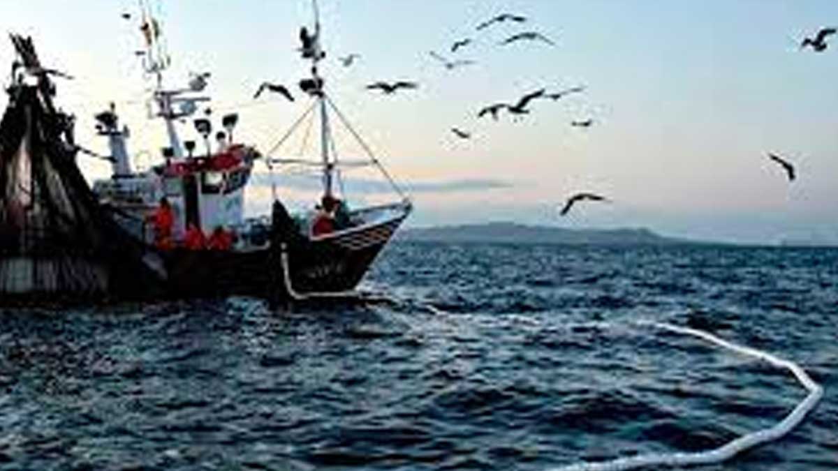 Industriales pesqueros acusan “negacionismo técnico” en discusión legislativa sobre recursos del mar